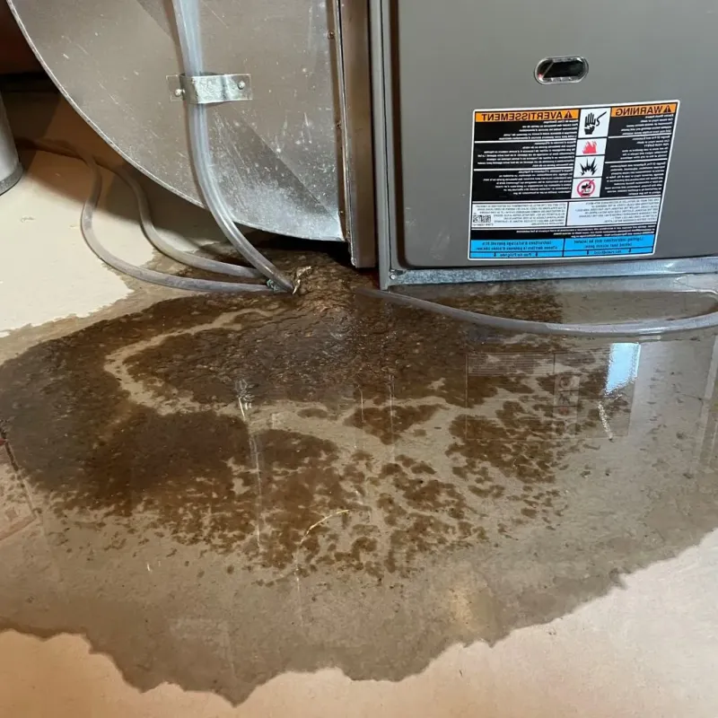 Pipe Burst and Leak Restoration in Scituate, MA